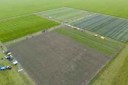 DJI_0437.jpg