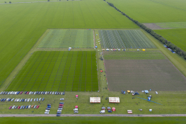 DJI_0449.jpg
