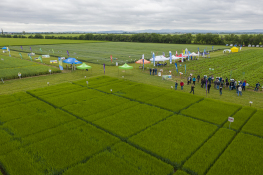 DJI_0464.jpg