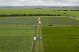 DJI_0470.jpg