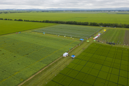 DJI_0472.jpg