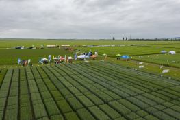 DJI_0485.jpg